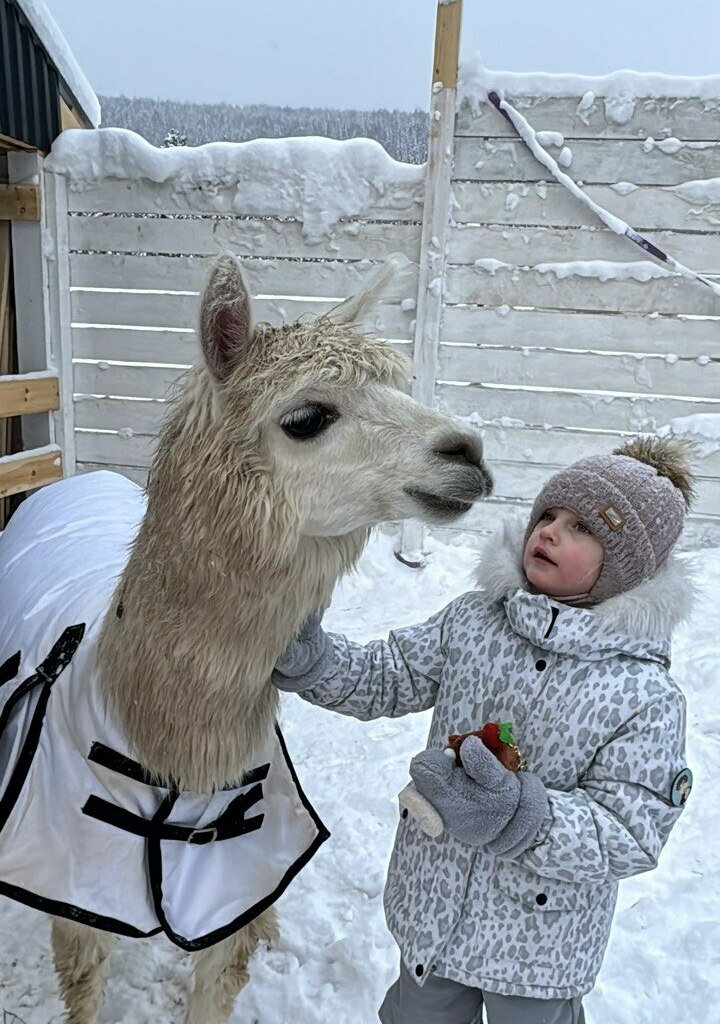 <span style="font-weight: 700;">Шерегеш: новогодние каникулы</span>