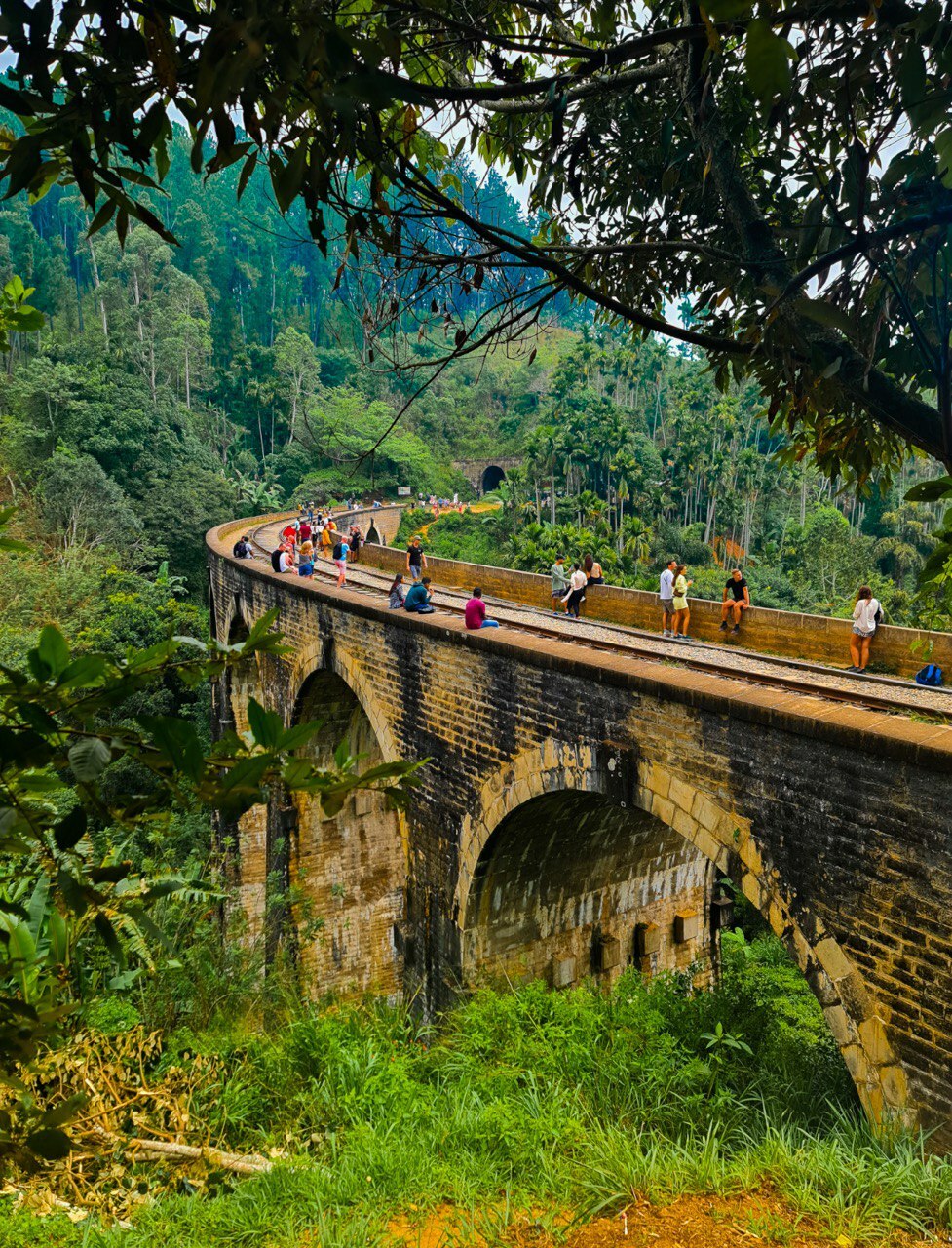 <span style="font-weight: bold;">кругосветка по шри-ланке </span> 